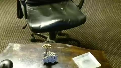 Snapshot of punkypapi chatting on 10.16.25 Jojo online show from 10.16.25