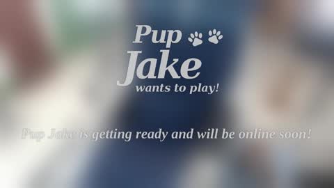 Snapshot of pup_jake chatting on 01.05.25 Pup Jake wants to play online show from 01.05.25