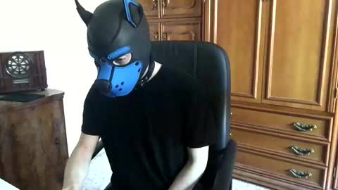 Snapshot of pup_toby chatting on 11.07.25 Toby online show from 11.07.25