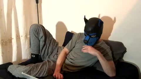Snapshot of pup_toby chatting on 11.13.25 Toby online show from 11.13.25