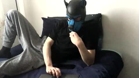 Snapshot of pup_toby chatting on 11.20.25 Toby online show from 11.20.25