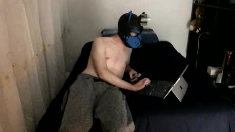 Snapshot of pup_toby chatting on 11.23.25 Toby online show from 11.23.25