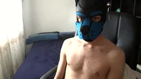 Snapshot of pup_toby chatting on 11.25.25 Toby online show from 11.25.25