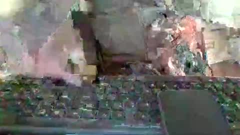 pup_y online show from 01.12.26