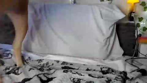Snapshot of pupgender chatting on 02.02.25 Rhys online show from 02.02.25