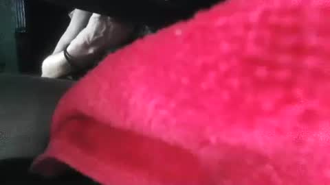 Snapshot of puppah626 chatting on 01.01.25 Puppah626 Phoenyx 39s Room online show from 01.01.25