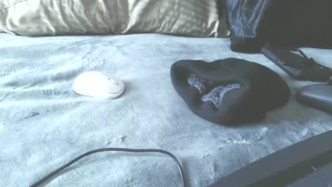 Snapshot of puppah626 chatting on 01.17.25 Puppah626 Phoenyx 39s Room online show from 01.17.25