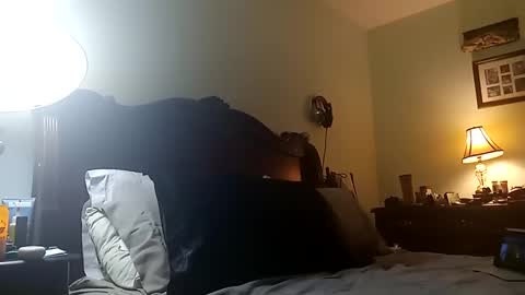 Snapshot of puppah626 chatting on 03.11.25 Puppah626 Phoenyx 39s Room online show from 03.11.25