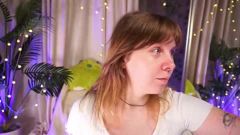 constant schedule Wednesday  Friday  Saturday  Sunday  The Rosemarie online show from 10.04.25