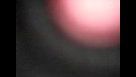 Snapshot of pureblood84 chatting on 01.11.26 Bart online show from 01.11.26