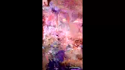 pussycat1331 online show from 04.22.26