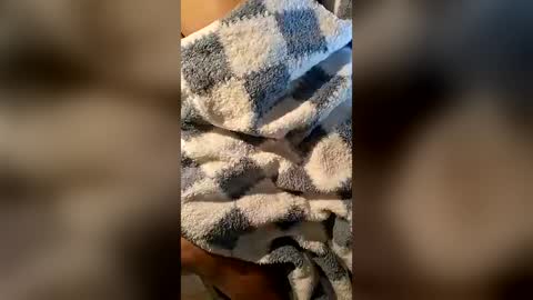 pussyeater420696953 online show from 06.16.26