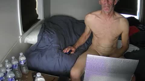 pvj1 online show from 11.11.25