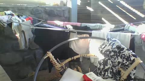 Python online show from 01.10.25