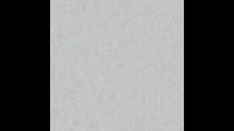 Snapshot of queenfox4u chatting on 12.02.25 LadyAlpa online show from 12.02.25