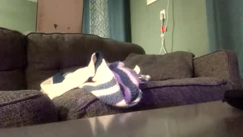 queenkitty477 online show from 01.06.26