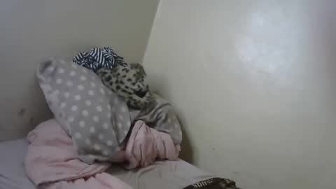 melly online show from 01.31.25