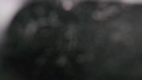 Snapshot of r9dima1998 chatting on 03.11.25 Dmitry online show from 03.11.25