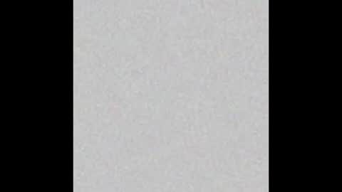 Rabbit Snake online show from 11.19.25