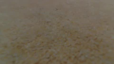 Snapshot of racefliege chatting on 01.14.25 racefliege online show from 01.14.25