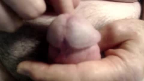 Snapshot of ragin_hardon001 chatting on 11.06.25 Ray online show from 11.06.25