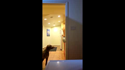 randmorty4 online show from 01.15.26