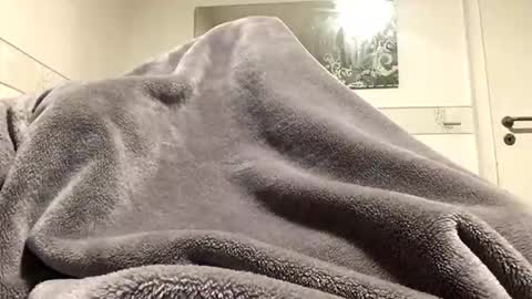 ranj00800 online show from 12.18.25