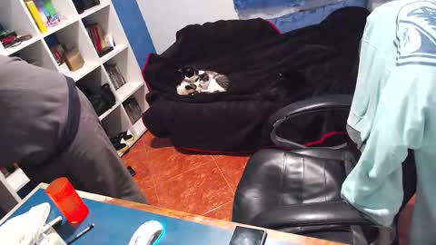 ravingr3d3 online show from 12.21.25