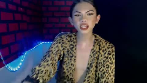 cindy online show from 12.11.24