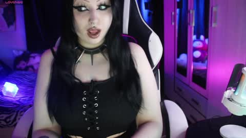 My kittensIm on vacation until July 25th. You can join the fan club  free content  online show from 04.13.26