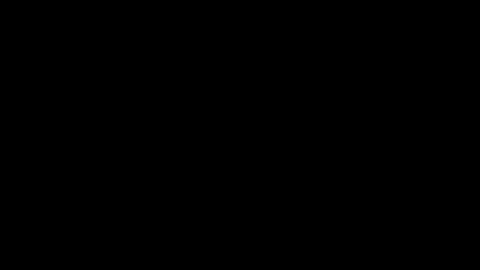 Snapshot of rdt2030 chatting on 12.29.24 rdt2030 online show from 12.29.24