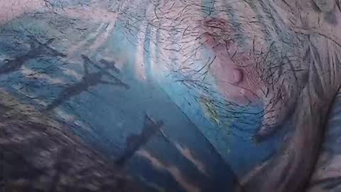 realrubpirate online show from 02.15.26