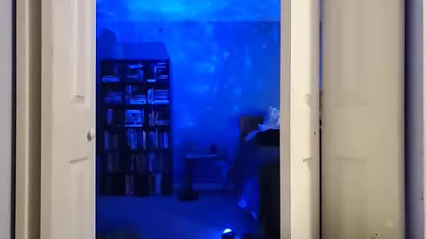 rebelstarlight online show from 02.16.26