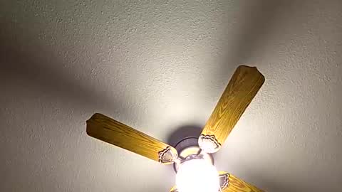 red24devils online show from 02.18.26