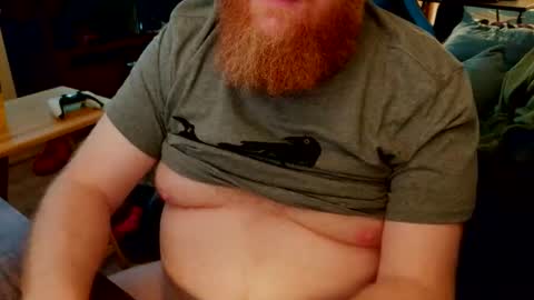 red_sea_bear online show from 02.14.26