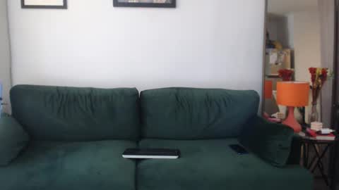 Snapshot of redfloweer chatting on 01.29.25 redfloweer online show from 01.29.25