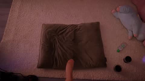 Redhead Shark online show from 02.16.26