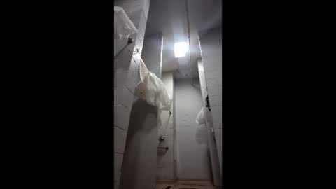 reeddave654 online show from 02.25.26