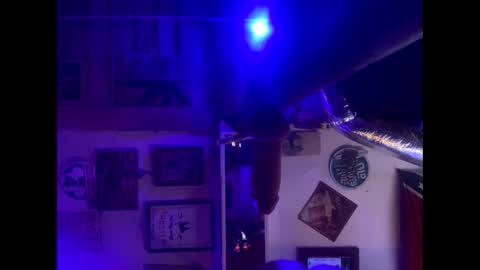 Snapshot of reeferleefer chatting on 10.05.25 Lee online show from 10.05.25