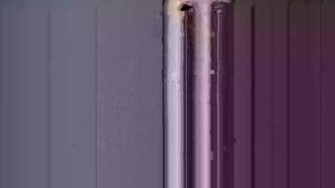 ReneIce online show from 01.15.26