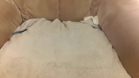 Mark online show from 03.22.26