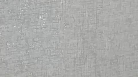 ricardogonzalez666 online show from 12.28.24