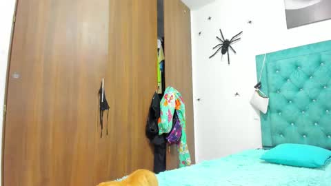 Rihanna hotx online show from 11.20.25