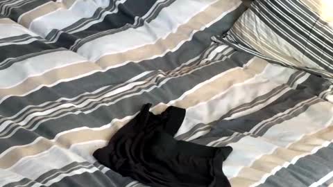 rob616580 online show from 01.13.26