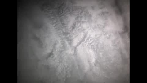 robertsaiz4200 online show from 03.15.26