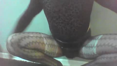 roberttocumcum online show from 02.23.26