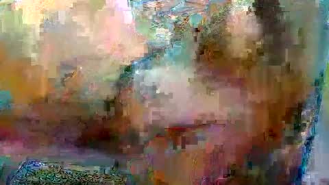 Robgrappler online show from 01.17.26