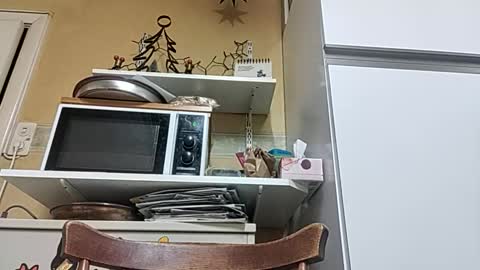 Snapshot of robke1966 chatting on 12.23.25 robke1966 online show from 12.23.25