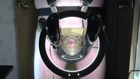 Snapshot of robodickmilker chatting on 01.24.25 Robodickmilker online show from 01.24.25