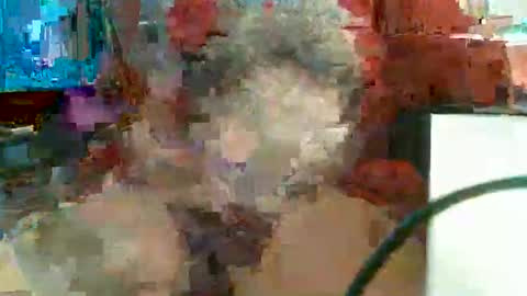 Rocco  aka DaddyRoc online show from 02.11.26